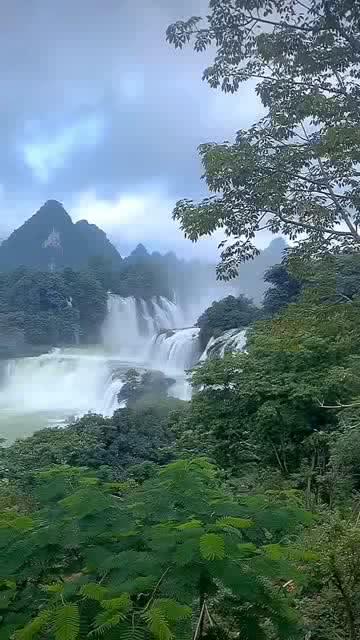泡泡魔导师